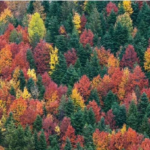  وقتی من شکستم هیچکی پشت من نبود هیچکی دست دراز نکرد